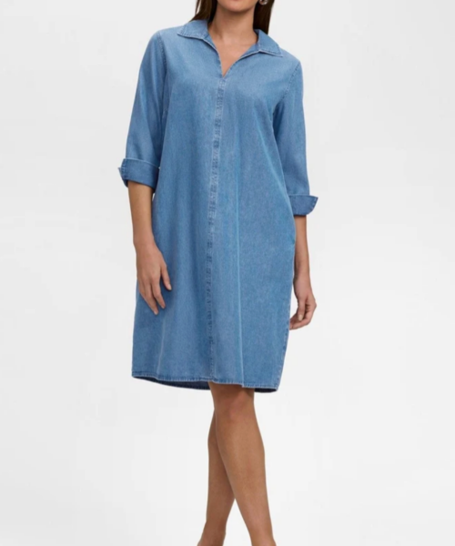Denim A-line Dress