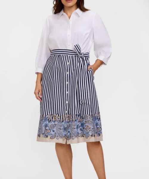 Paisley Striped Dress