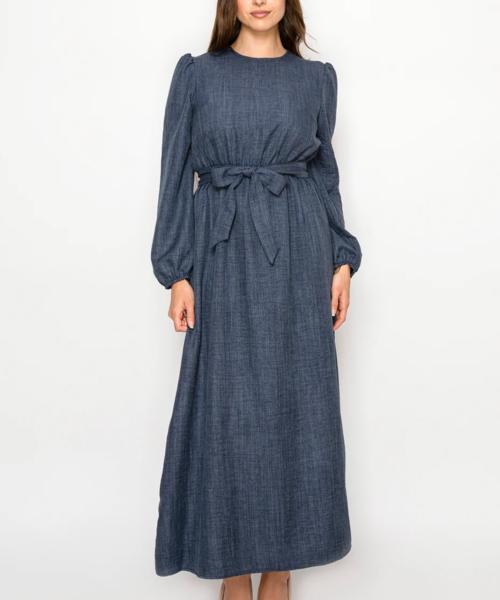 Willow Denim Dress